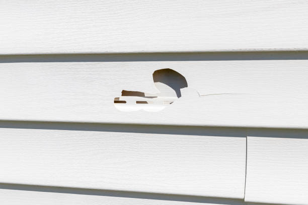 Best Siding for New Construction  in Moorhead, MN